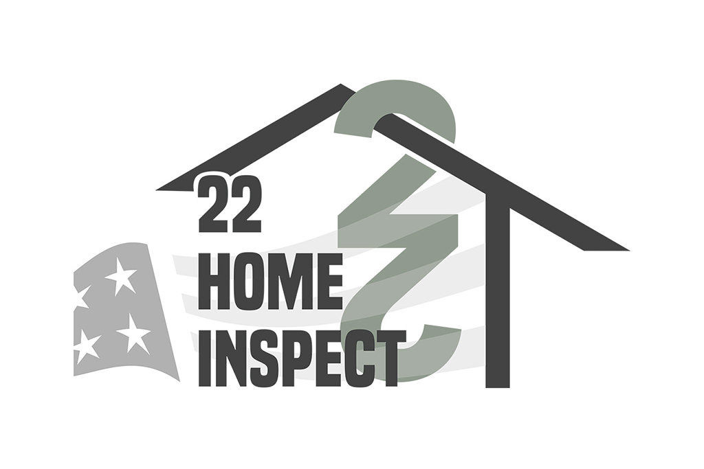 22<br>Home<br>Inspect website example